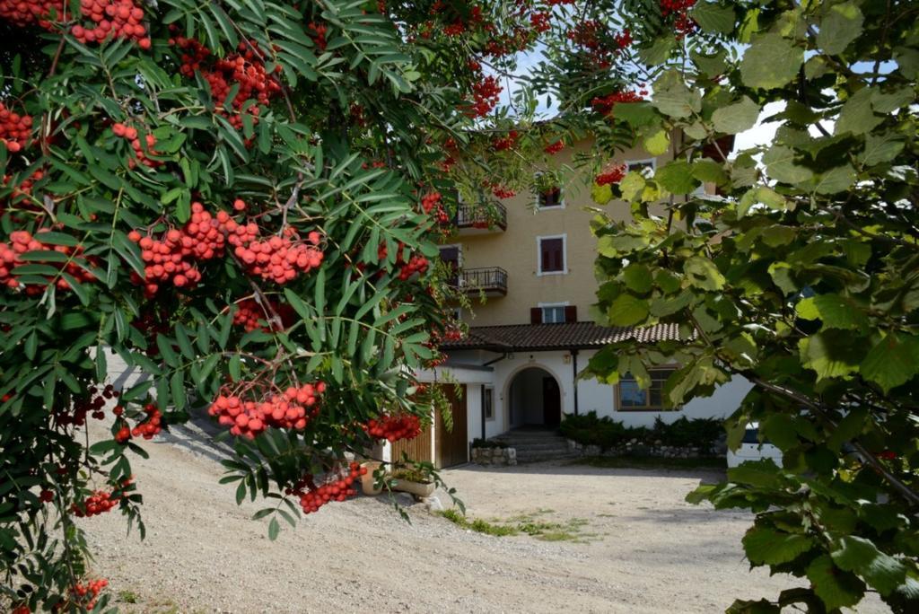 Albergo Garni' Aurora Tret Extérieur photo